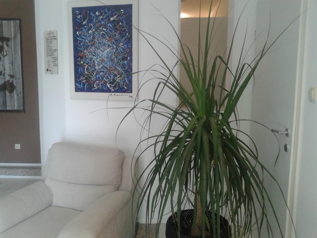 Apartment&Room Romano マトゥリ エクステリア 写真